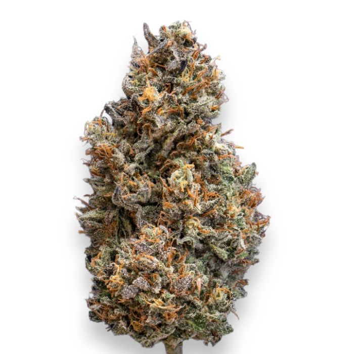 Grease Gun Autoflower Cannabis Seeds