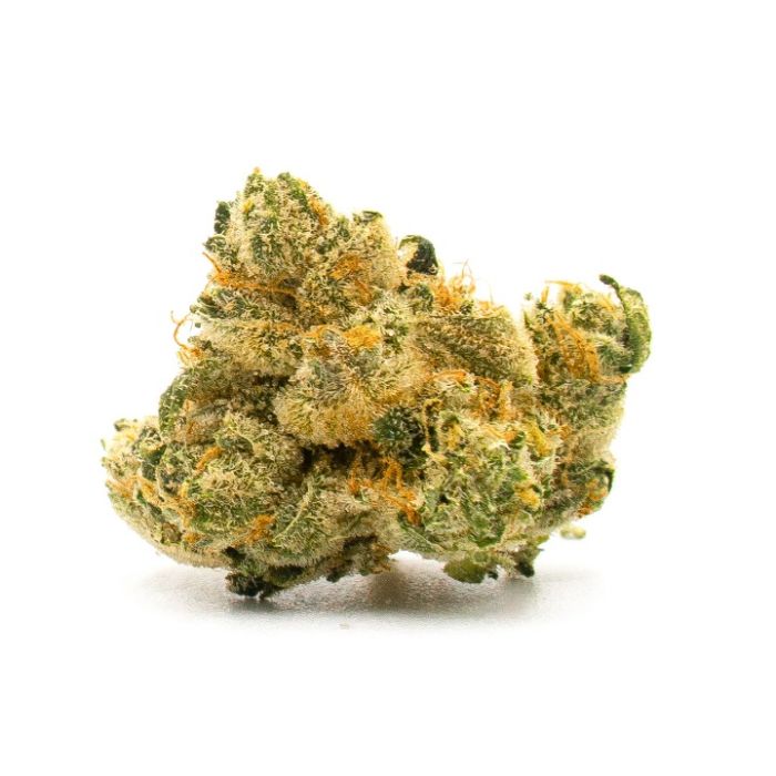 Great White Shark Autoflower Cannabis Seeds