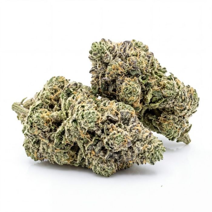 Gruntz Seeds