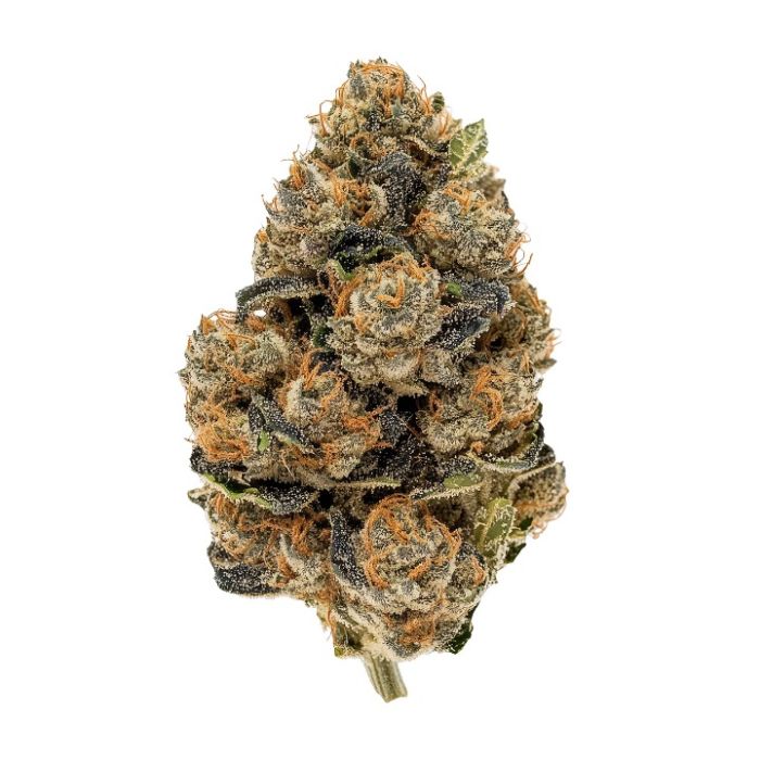 Guava Galaxy Feminized Cannabis Seeds