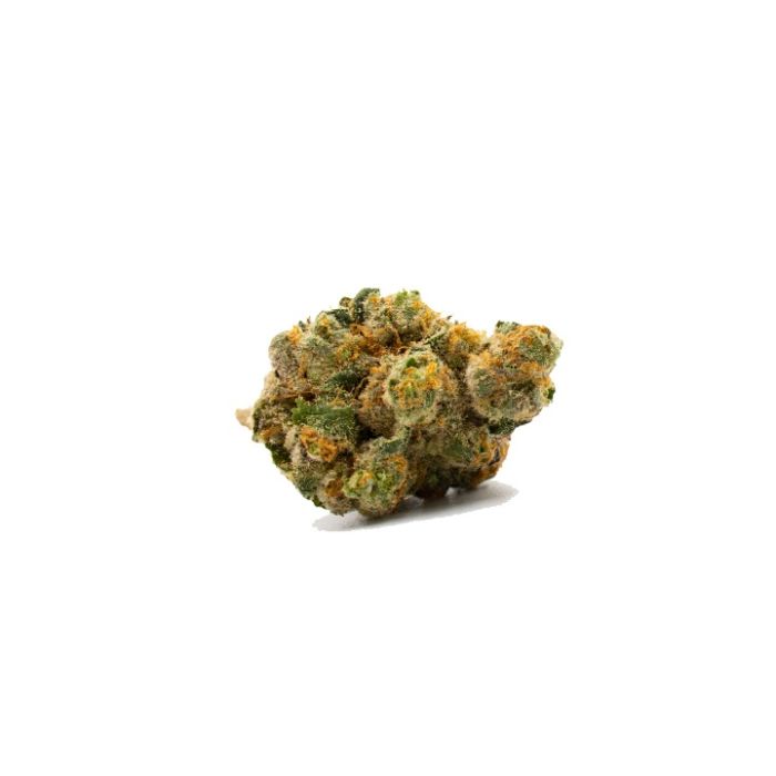 Gushers Autoflower Cannabis Seeds