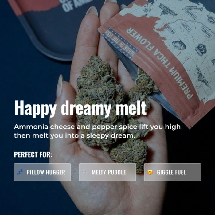 Hash Burger THCa Flower