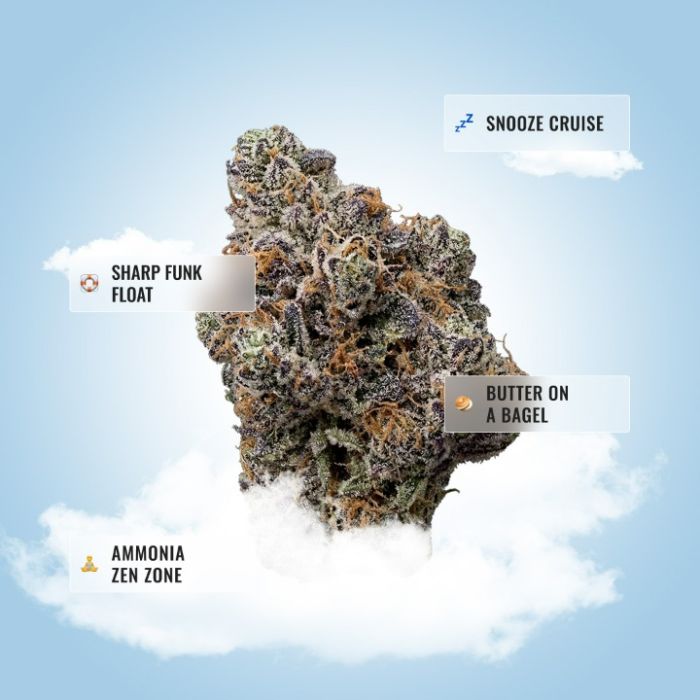 Hash Burger THCa Flower