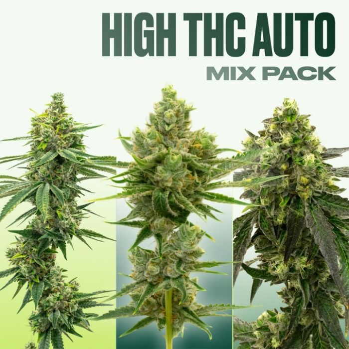 High THC Auto Seeds Mix Pack