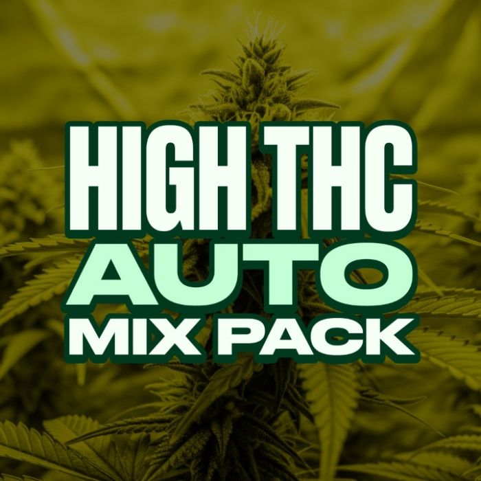 High THC Autoflower Mix Pack