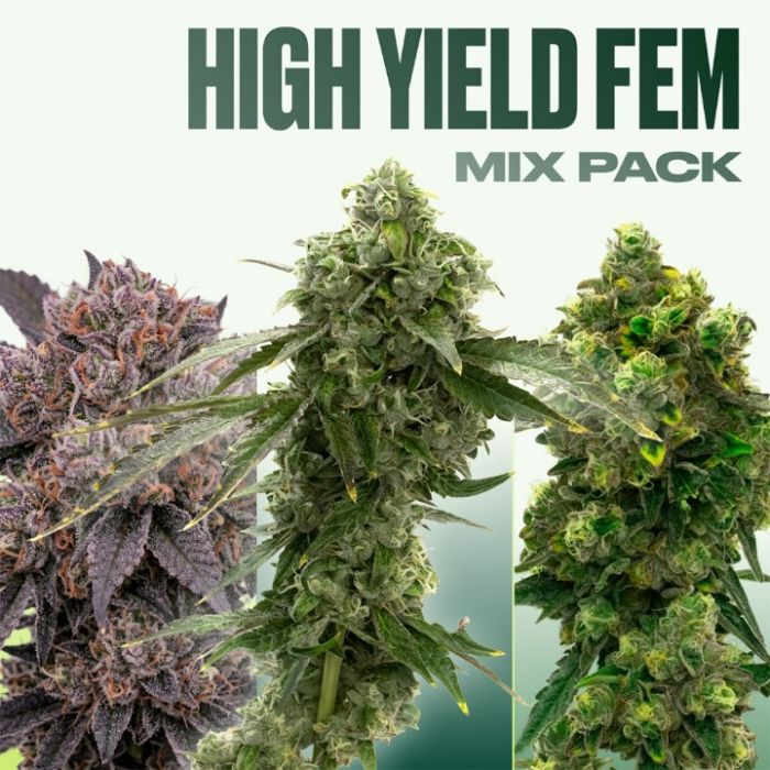 High Yield Seeds Mix Pack