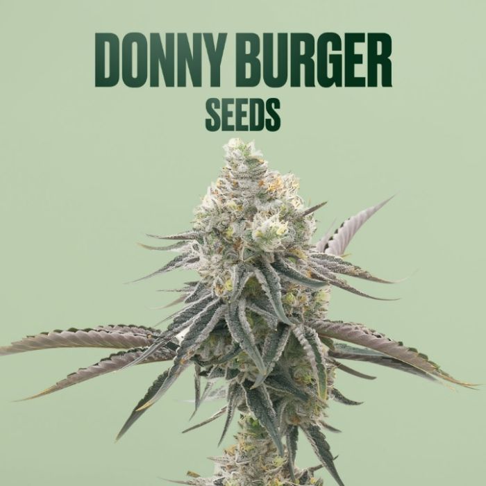 Donny Burger THCa Flower + Seeds Bundle