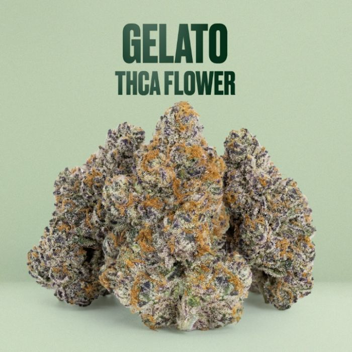 Gelato THCa Flower + Seeds Bundle