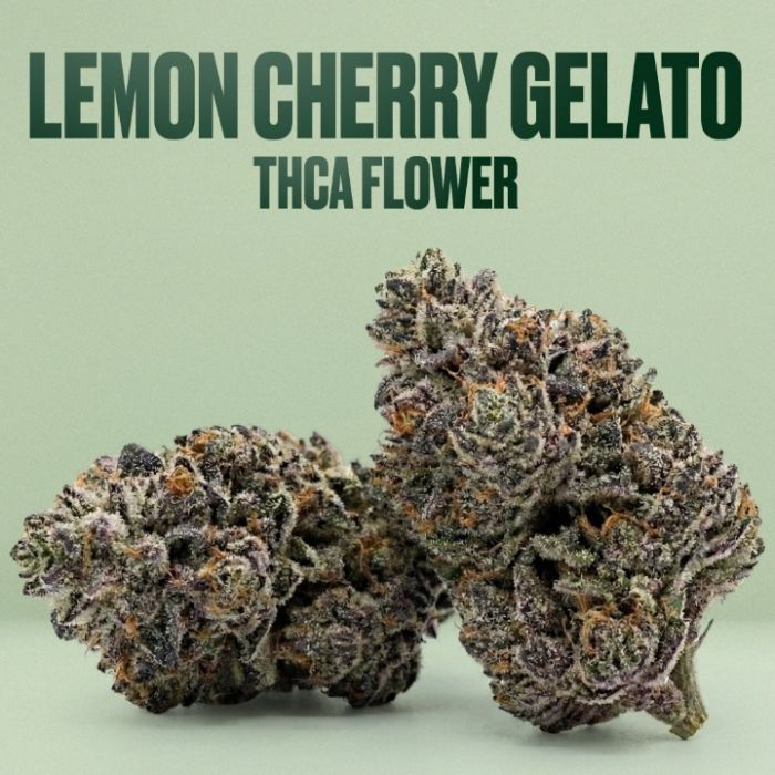 Lemon Cherry Gelato THCa Flower + Seeds Bundle