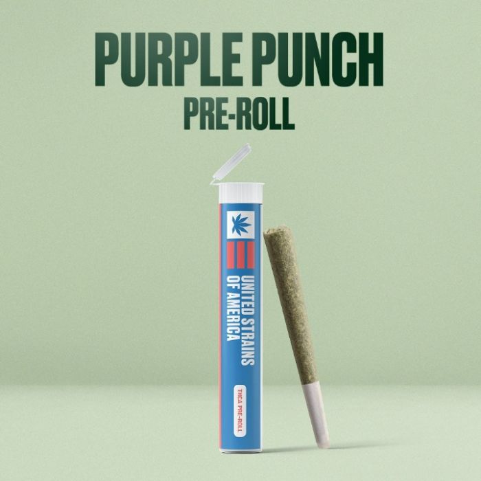 Purple Punch THCa + Seeds Bundle