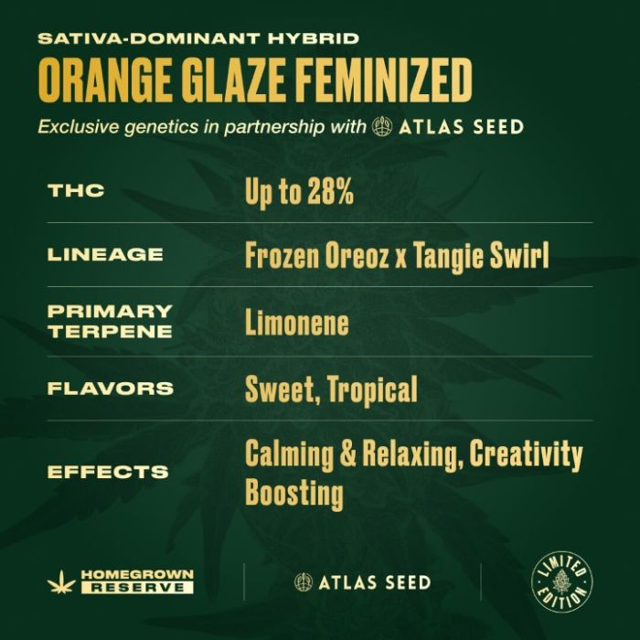 Orange Glaze Feminized Cannabis Seeds