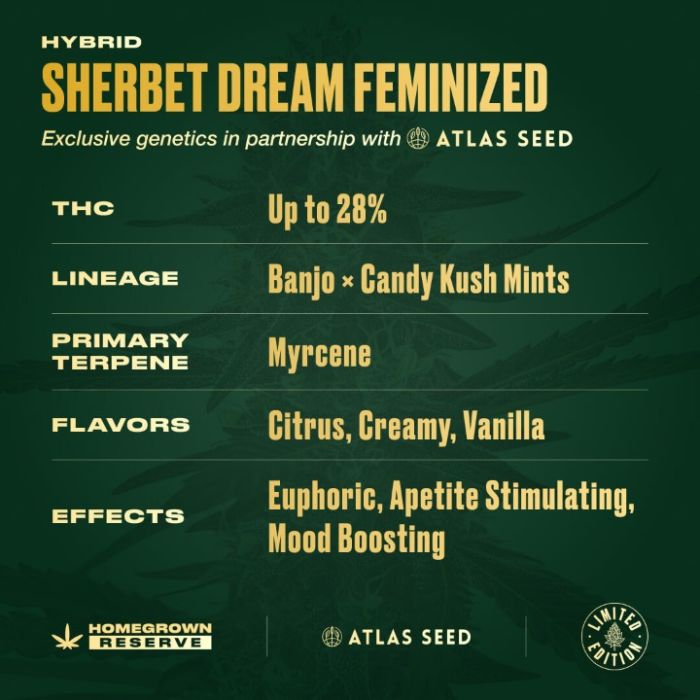 Sherbet Dream Feminized Cannabis Seeds