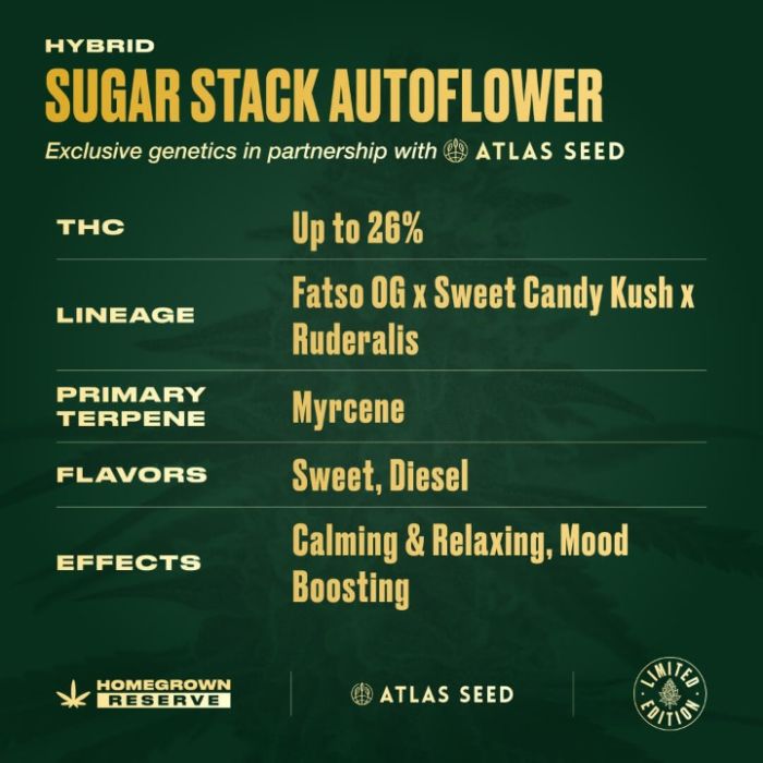 Sugar Stack Autoflower Cannabis Seeds