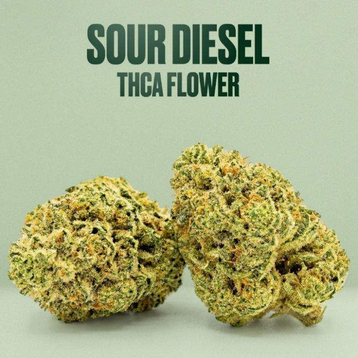 Sour Diesel THCa + Seeds Bundle