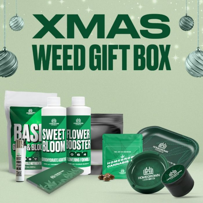 XMAS Weed Gift Box