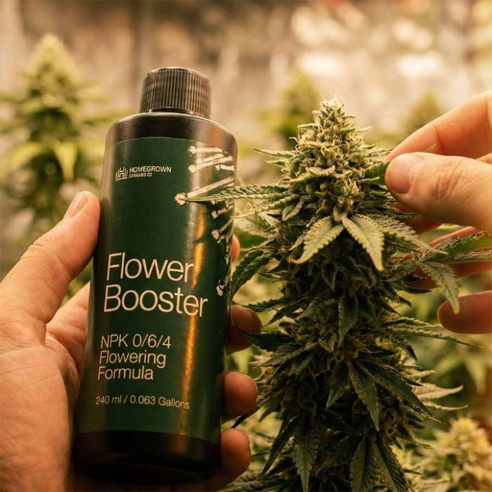 Cannabis Feeding System