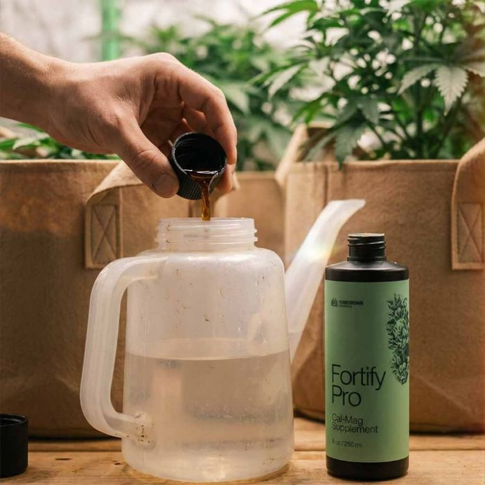 Cannabis Feeding System