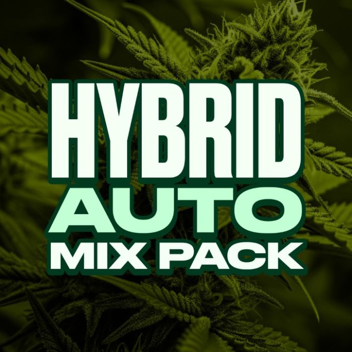 Hybrid Autoflower Mix Pack