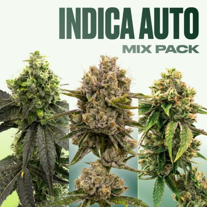 Indica Autoflower Mix Pack