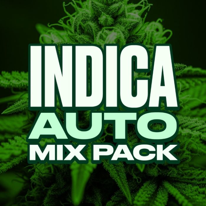 Indica Autoflower Mix Pack
