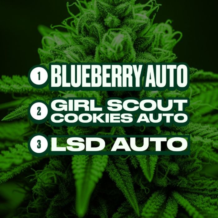 Indica Autoflower Mix Pack