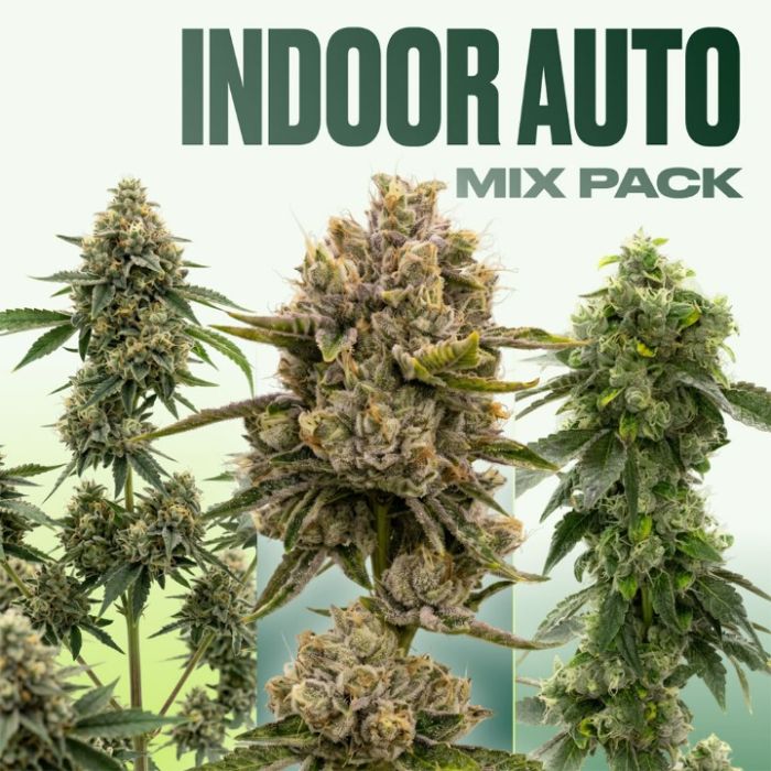 Indoor Autoflower Mix Pack