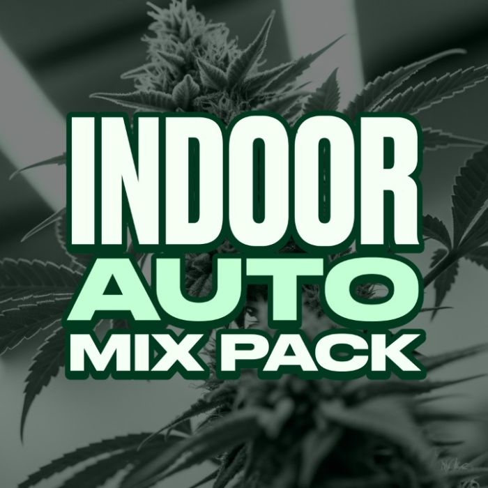 Indoor Autoflower Mix Pack