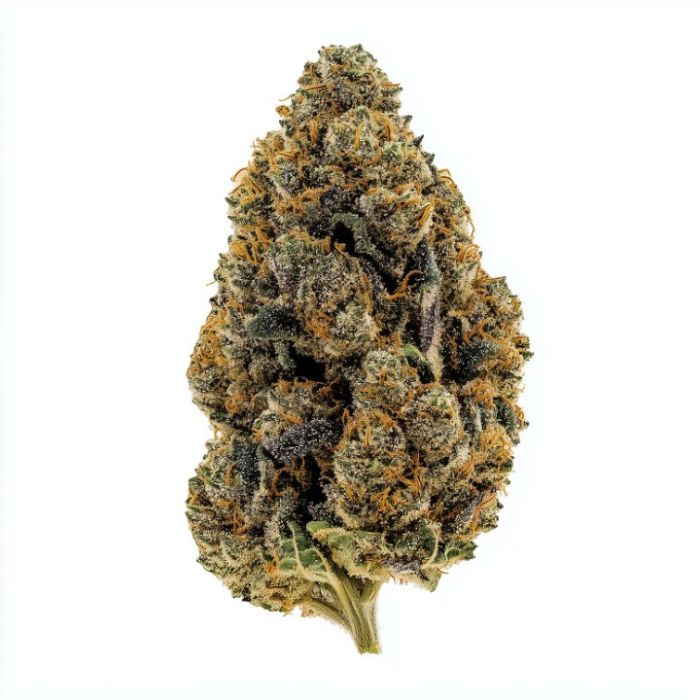 Jealousy Glue Feminized Cannabis Seeds