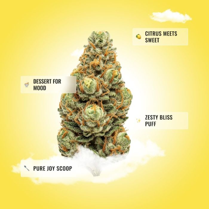 Lemon Cherry Gelato THCa Flower