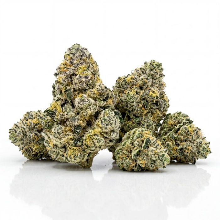 Lemon Drizzle Auto Seeds