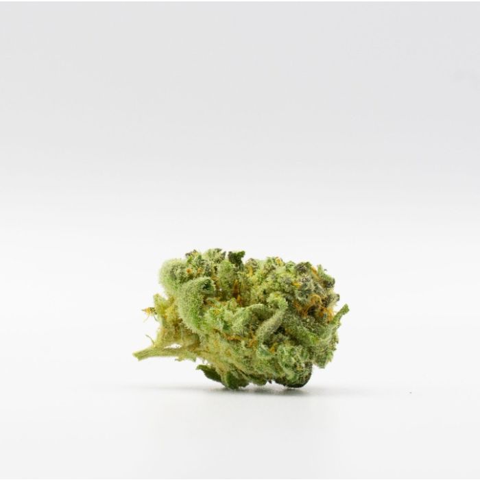 Mac 1 Feminized Cannabis Seeds