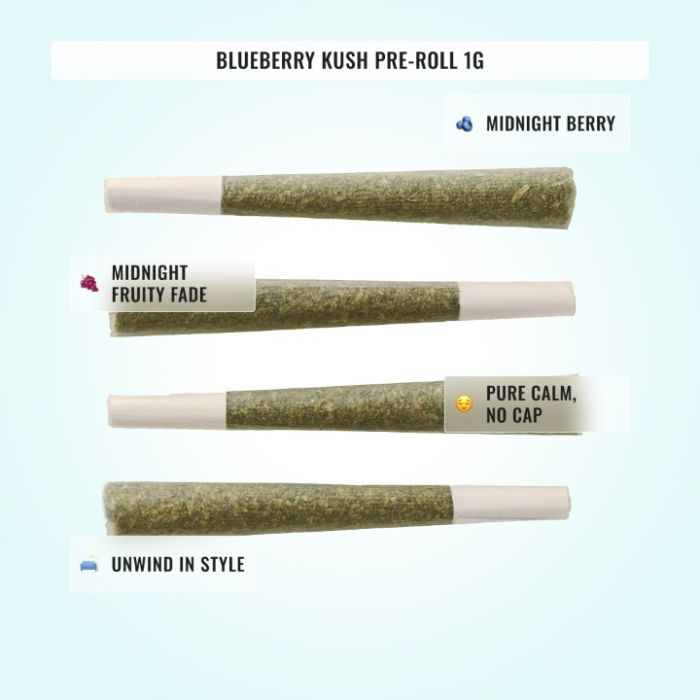 Medium Potency THCa Bundle