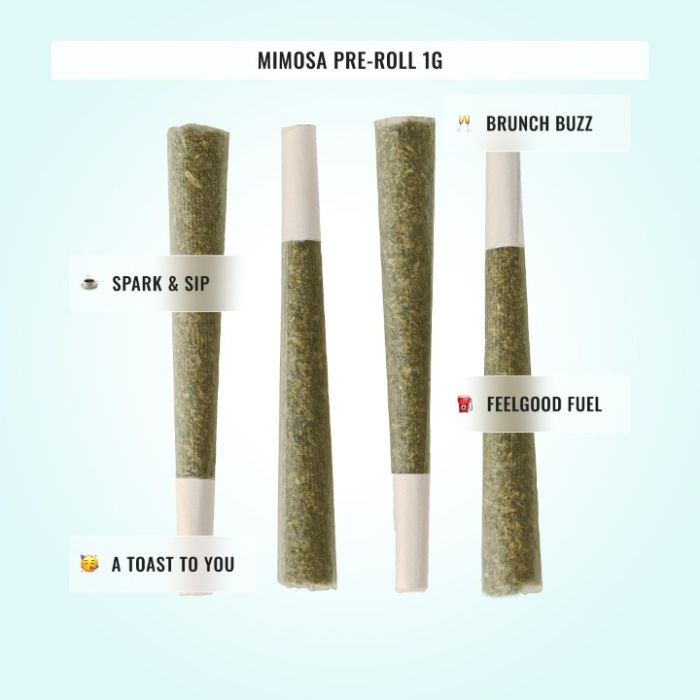 Medium Potency THCa Bundle