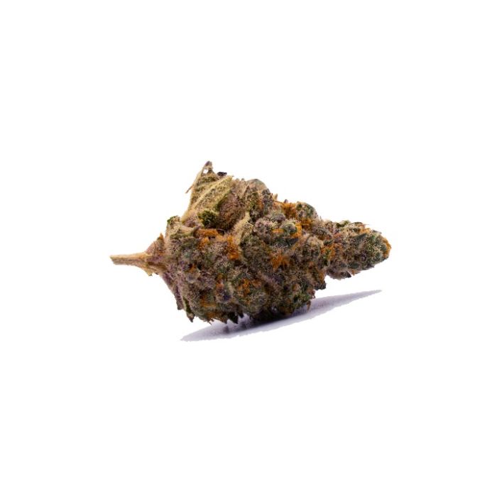 Mimosa Autoflower Cannabis Seeds