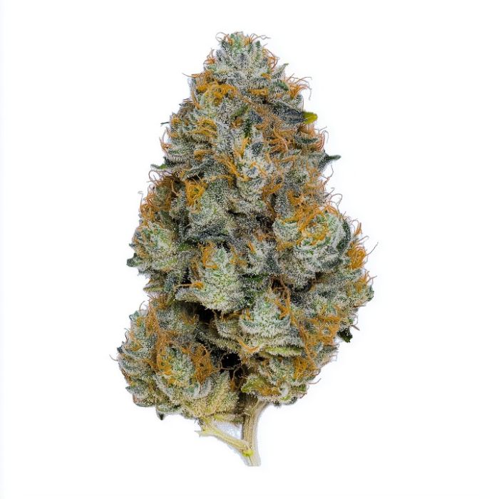 Mystic Gorilla Autoflower Cannabis Seeds