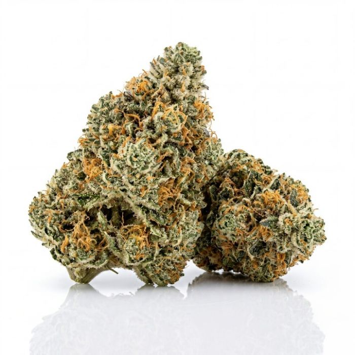 Orange x Skunk Seeds