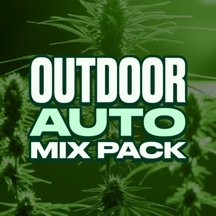 Outdoor Autoflower Mix Pack