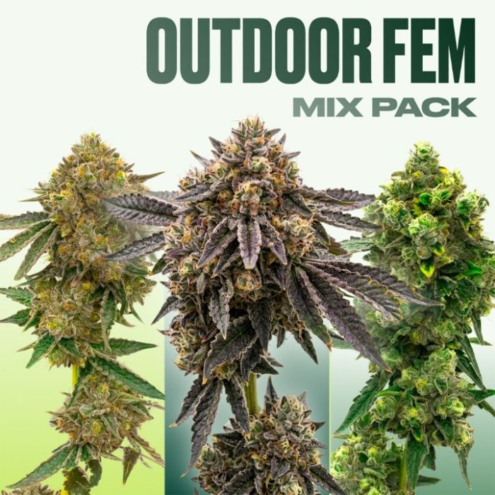 Outdoor Seeds Mix Pack