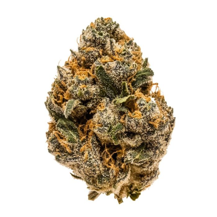 Peach Creshendo Feminized Seeds