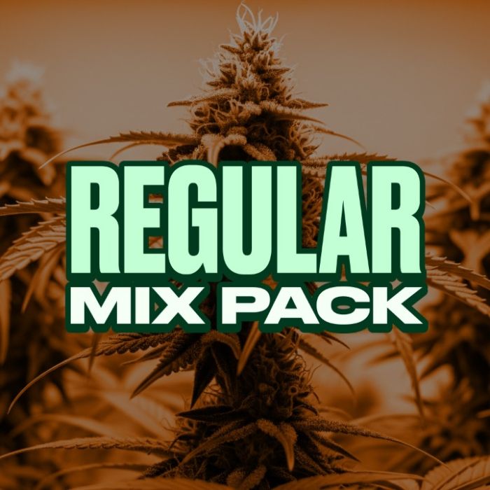 Regular Seeds Mix Pack