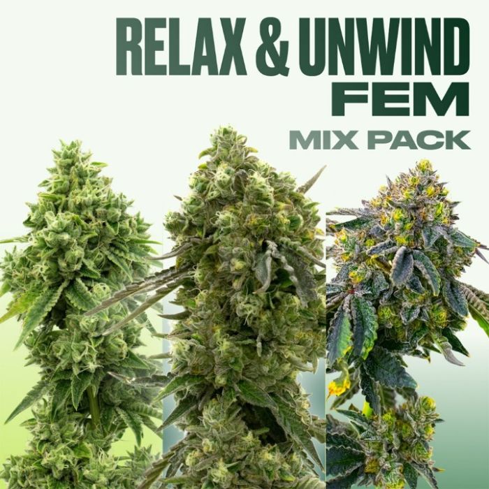 Relax & Unwind Feminized Mix Pack
