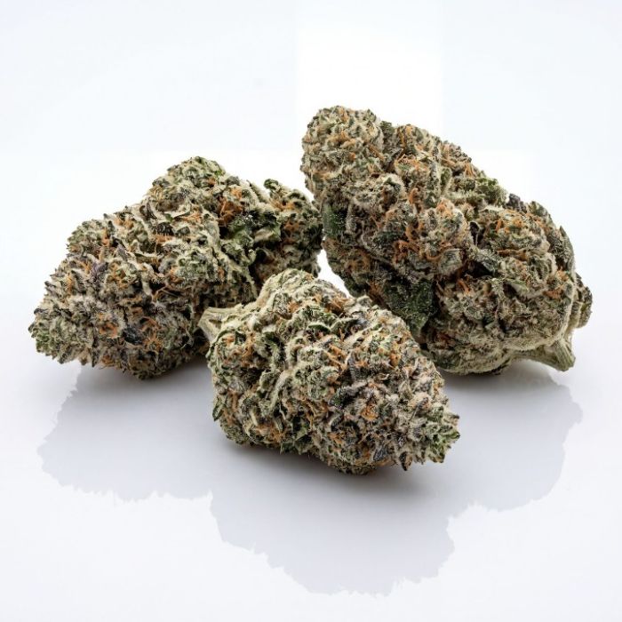 San Fernando Valley Seeds