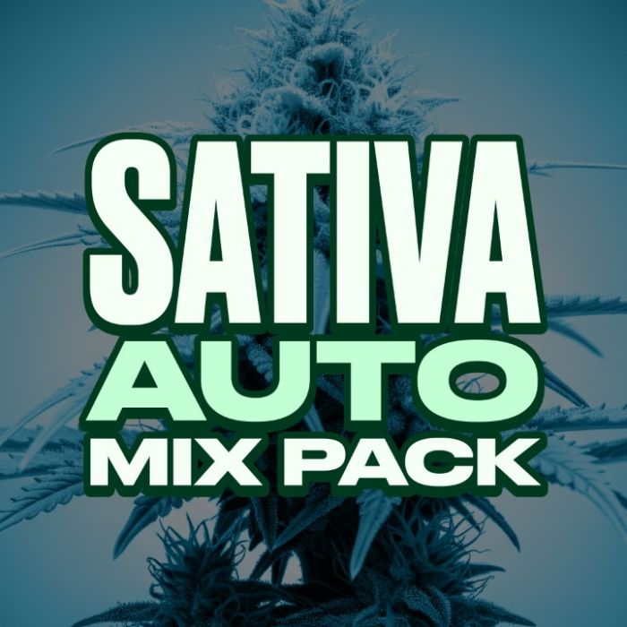 Sativa Autoflower Mix Pack