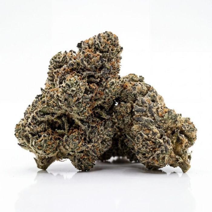 Snoop Dogg Og Seeds