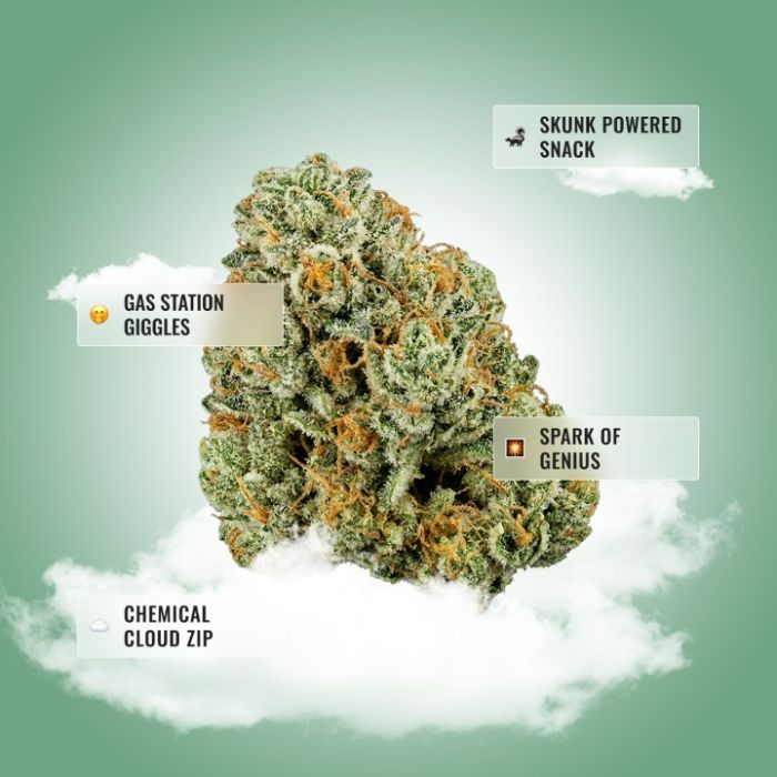 Sour Diesel THCa Flower