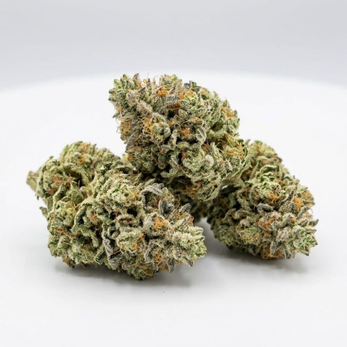 Strawberry Cough Feminized