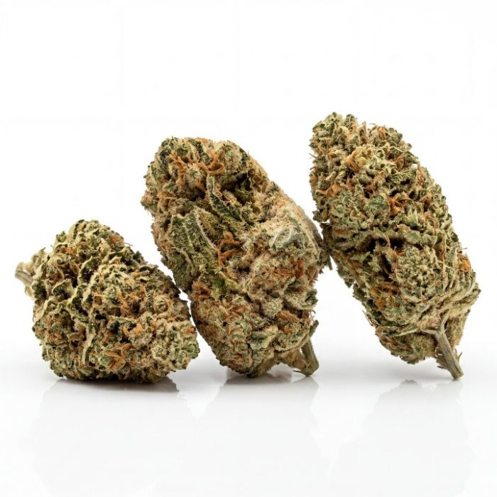 Sweet Berry Auto Seeds