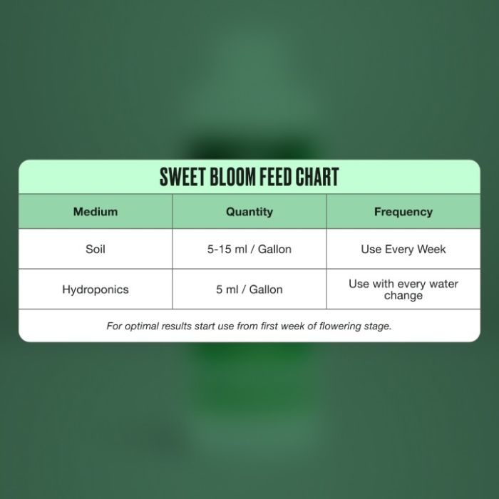 Sweet Bloom