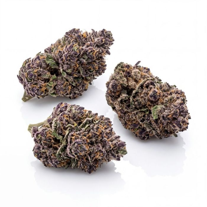 Tropicanna Cookies Auto Seeds