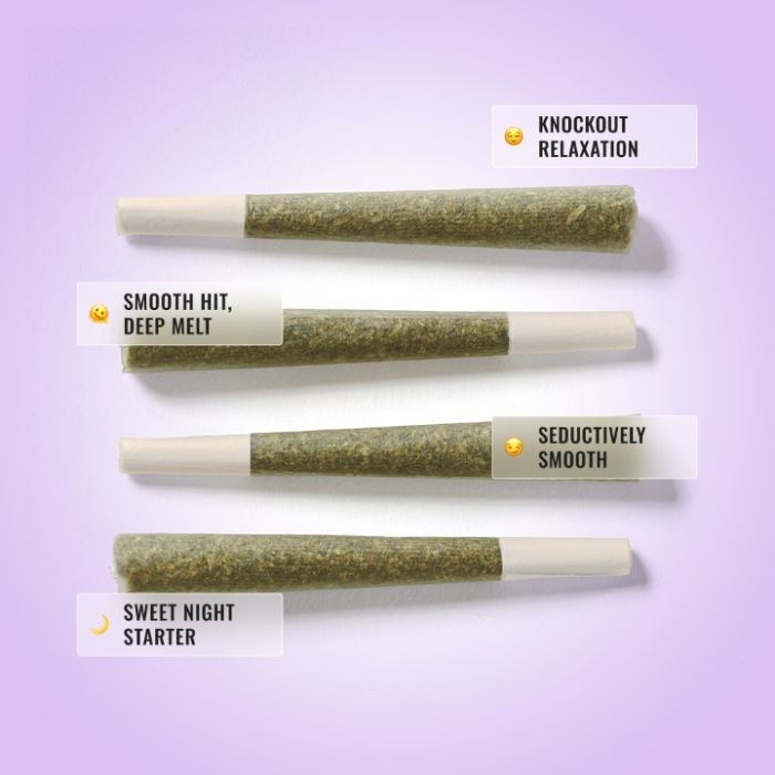 Purple Punch Pre-roll 1G